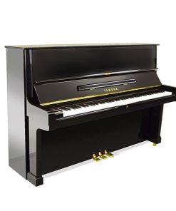 Yamaha U2G