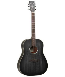 Bán Đàn Guitar Tanglewood TWBB SDE Chính Hãng