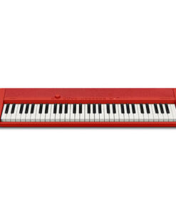 Bán Đàn Organ, Keyboard Casiotone CTS1 Chính Hãng, Giá Tốt