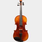 Bán Đàn Violin Scott Cao STV-017E 3/4 Chính Hãng, Giá Tốt