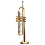 Conn Selmer VBS1