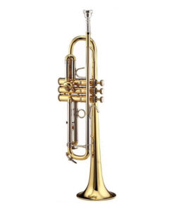 Conn Selmer VBS1