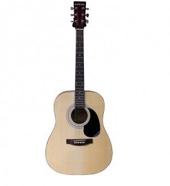 Đàn Guitar Suzuki SDG-6 NL Model