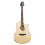 Bán Đàn Guitar Acoustic Tanglewood TS5CE Chính Hãng