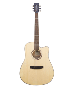 Bán Đàn Guitar Acoustic Tanglewood TS5CE Chính Hãng