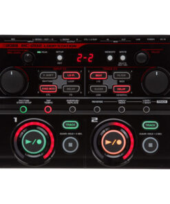 Boss RC-202